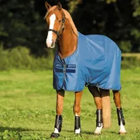 Horseware Amigo Hero 900D Turnout Lite 50g - Colony
