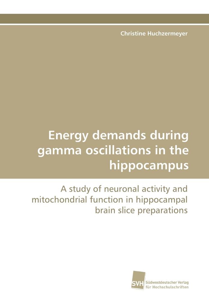 Energy demands during gamma oscillations in the hippocampus: Buch von Christine Huchzermeyer