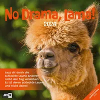 Ackermann No Drama, Lama Broschürenkalender 2026 - 30x30 -