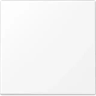 Jung Wippe f.Schalter/Taster LS990WWM