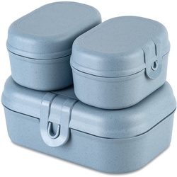 Koziol - Pascal Ready Mini Lunchbox-Set, nature flower blue