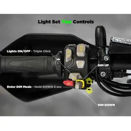 denali CANsmart 2.0 Controller für Triumph Tiger 1200/900
