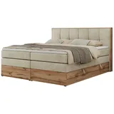 MKS Albero 1 King 180 x 200 cm H3 Beige