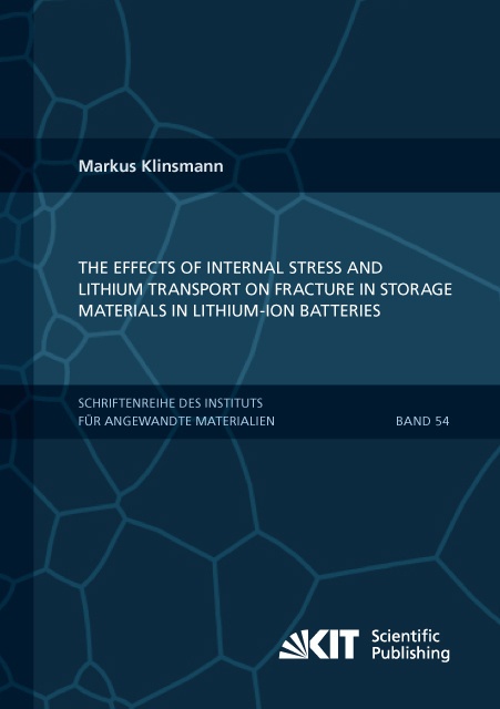 The Effects Of Internal Stress And Lithium Transport On Fracture In Storage Materials In Lithium-Ion Batteries - Markus Klinsmann  Kartoniert (TB)