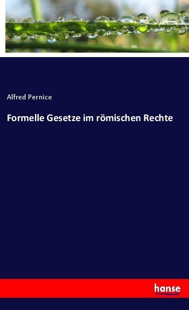 Formelle Gesetze Im Römischen Rechte - Alfred Pernice  Kartoniert (TB)