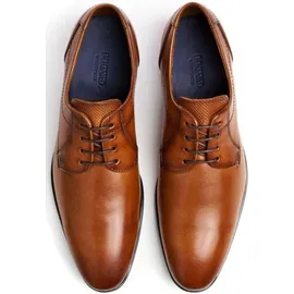 LLOYD Osmond braun 48