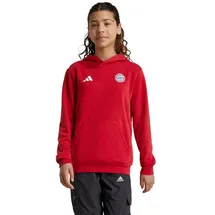 adidas FC Bayern München Hoodie 2024/25 rot Kinder Gr. 164