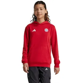 adidas FC Bayern München Hoodie 2024/25 rot Kinder Gr. 164