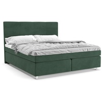 Panda Möbel - Clark Boxspringbett 180x200 cm, kontinentales Doppelbett mit hochwertiger Matratze und Topper - komfortabel, modern, stilvoll - grün
