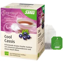 Salus Cool Cassis Kräuter-Früchte-Tee 15 St Filterbeutel