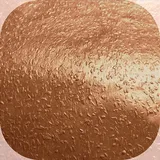 H+V Paul Kamm® Metallic Wandfarbe 2kg (ca.2Liter) Effektfarbe, Wandfarbe Innenbereich, Glitzer, Glitzereffekt, Glitter, Metallisch, Schimmer