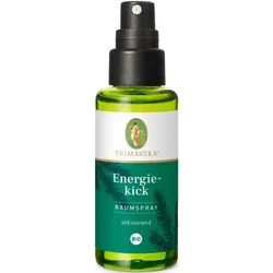 Primavera Raumspray Energiekick