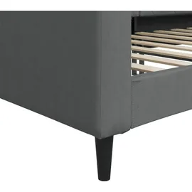 vidaXL Tagesbett 100 x 200 cm Dunkelgrau