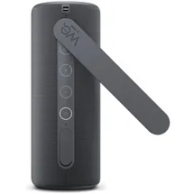 Loewe We. HEAR 1 Storm Grey