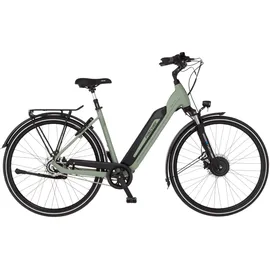 Fischer CITA 2403 28 Zoll RH 43 cm grün