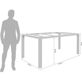 Zebra Technologies Zebra Alus Gartentisch-Gestell Aluminium Taupe