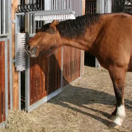 Kerbl Viehbürste TEXAS Bürste Tiere Kratzbürste Rinder Kühe Pferde Fellpflege