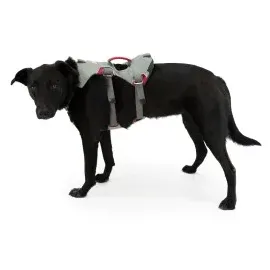 Ruffwear Doubleback Harness Hundegeschirr (Größe S (56-69cm), grau)