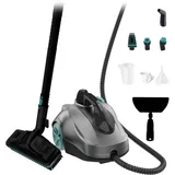 Cecotec Hydrosteam 2000 2000 W Grau/Schwarz/Silber