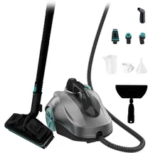 Cecotec Hydrosteam 2000 2000 W Grau/Schwarz/Silber
