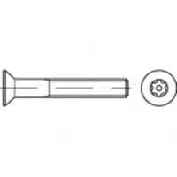 TOOLCRAFT Sicherheitsschrauben M6 60 mm 100 Stück