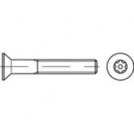 TOOLCRAFT Sicherheitsschrauben M6 60 mm 100 Stück
