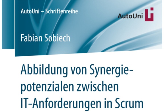 Abbildung Von Synergiepotenzialen Zwischen It-Anforderungen In Scrum - Fabian Sobiech, Kartoniert (TB)