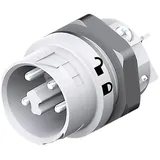 Wieland 46.052.5054.0 Rundstecker Stecker, Einbau Serie (Rundsteckverbinder): RST® MINI Gesamtpolza