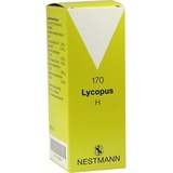 Nestmann Lycopus H 170