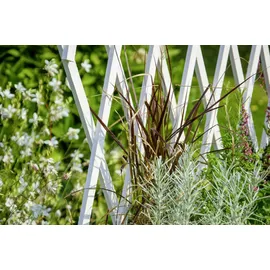 Dobar Hochbeet mit Rankhilfe 79 x 28,5 x 130 cm weiß
