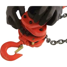 Berger & Schröter Kettenzug Stahl 3000 kg rot