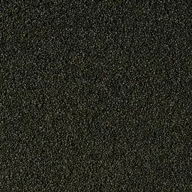 Tropical Super Spirulina Forte Mini Granulat 2x250 ml