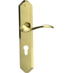 Griffwerk AMADEUS -Messing Optik Langschild-Garnitur -sichtbar verschraubt -PZ -TS 40-45mm