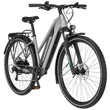 Fischer TERRA 2.2 29 Zoll RH 45 cm Unisex grau