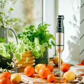 Adler AD 4628 Karierter schwarzer Krug - Silber