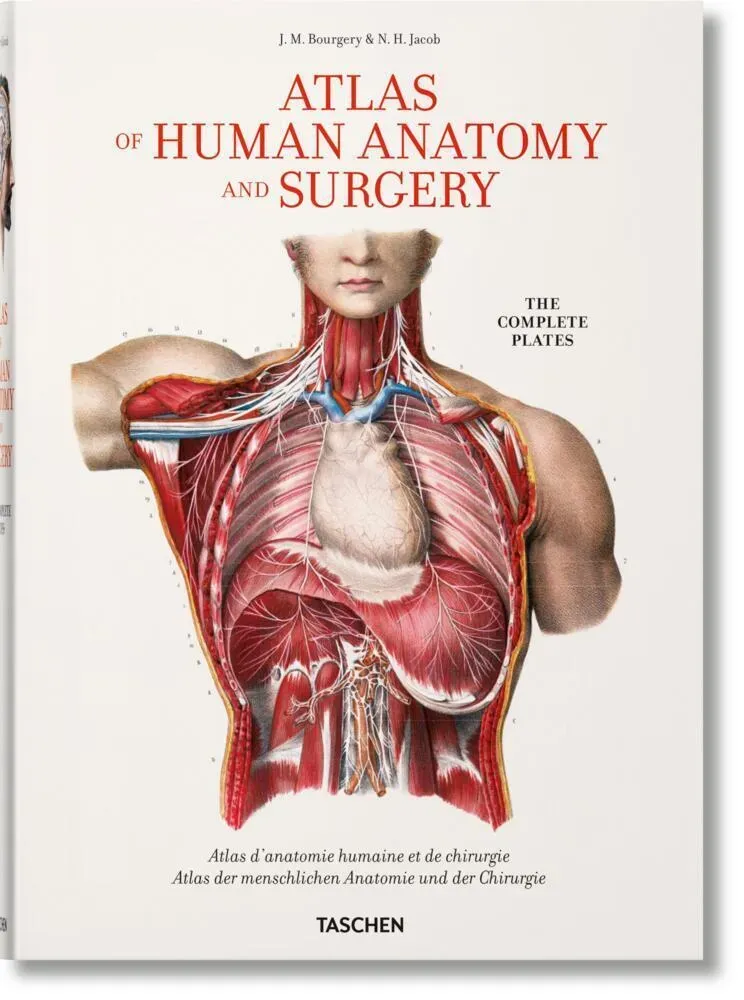 Atlas Of Human Anatomy And Surgery / Atlas D' Anatomie Humaine Et De Chirurgie / Atlas Der Menschlichen Anatomie Und Der Chirurgie - Henri Sick  Jean-