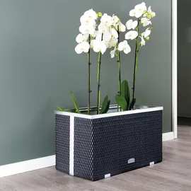 Wilk Pflanzgefäß 70 x 38 x 40 cm Anthrazit