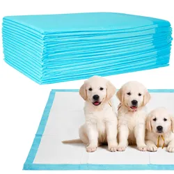 Trainingspads für Hunde (600 Stück): 5-lagige, extra saugfähige Welpenunterlagen, auslaufsicher, 60x60 cm - saugstark u. hygienisch