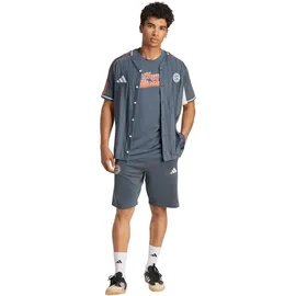 adidas FC Bayern München Shorts 2025/26 grau Herren Gr. XL