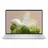 Intel Core Ultra 7 258V 32 GB RAM 1 TB SSD Win11 Pro FMDDY