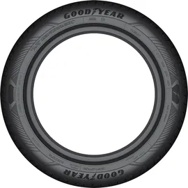 Goodyear EfficientGrip Performance 2 205/55 R16 91V