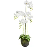 Orchidee, Weiß, Kunststoff, 100 cm, Dekoration, Kunstblumen