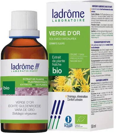 Ladrôme Solidago Virgaurea Goldrute 50ml