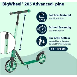 Hudora BigWheel® 205 Advanced - grün