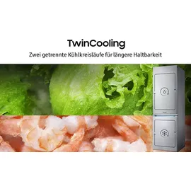 Samsung RL36R8739B1