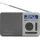 Aiwa RD-40DAB Silber
