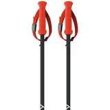 Fischer Rd 16 Sl Stöcke - Black / Orange 120
