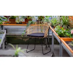 Möbelliebling Esszimmerstuhl Armlehnenstuhl Rattan Farbe natur inkl. Kissen LIMA