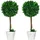 Homcom Künstliche Pflanzen 2er-Set mit Blumentopf