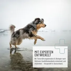 reavet Grünlippmuschel Kapseln 100 St.